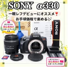初心者向け✨】SONY α330❤デジタル一眼レフ ソニー 手振れ補正搭載