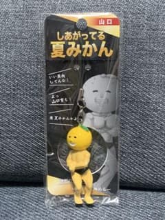 しあがってる夏みかん 山口 ストラップのサムネイル
