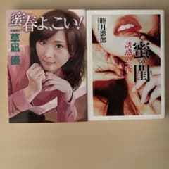 官能小説 2冊セット 草凪優 睦月影郎のサムネイル