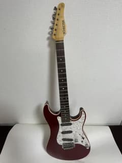 【RITAO CHAN様専用』】SCHECTER エレキギターストラトのサムネイル