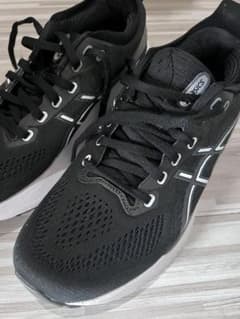 ASICS ゲルカヤノ31 25.0のサムネイル