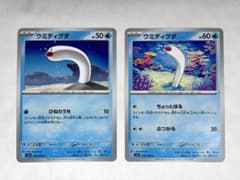 ウミディグダ 2枚セットのサムネイル
