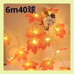 【即日発送】ハロウィン クリスマス メープルリーフ 照明 USB 6m40球