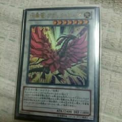 月華龍ブラックローズのサムネイル