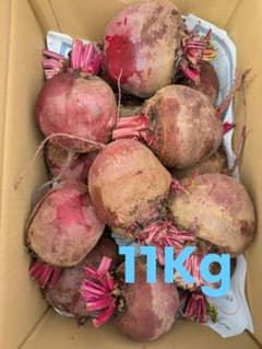 超特価【訳あり】　ビーツ　約11キロ　三浦半島　農家直送　農薬不使用(栽培期間)のサムネイル
