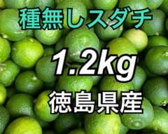 種無しスダチ 1.2kg 徳島県産 - メルカリ
