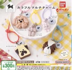 Maison terrier カラフルマルチチャーム 2種セットのサムネイル