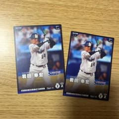 東京ヤクルトスワローズ 岩田幸宏 カード 2枚セット