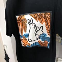 FR2 柳　Tシャツのサムネイル