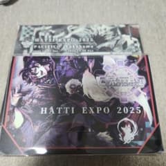 HATTI EXPO 2025 ダブルデッキケース&ストレージBOXセット④ - メルカリ