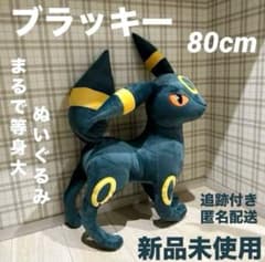まるで等身大 ブラッキー 80cm ぬいぐるみ ポケットモンスター ポケモン m49432975729_1.jpg?1767416677