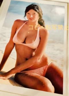 アグネス・ラム＊ビキニ水着＊ビンテージ A3サイズ額装➀ - メルカリ