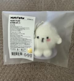 SEVENTEEN MINITEEN ウジ マグネットキーリング - メルカリ