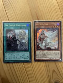 S*G様 白き竜の落胤、The Fallen & The Virtuous 2枚 - メルカリ