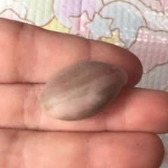 星美人錦☆葉挿しちゃん①のサムネイル