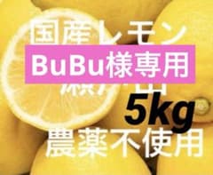 BuBuレモン5kg BuBu様専用レモン5kg - メルカリ