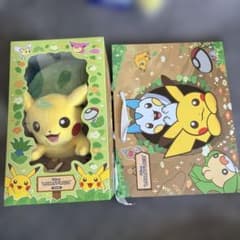 韓国 ポケモ30周年記念 アーバンフォレスト シークレットフォレスト