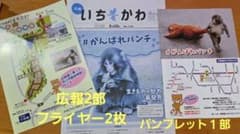 市川市動植物園 がんばれパンチ フライヤー広報いちかわ 2026年6月20日