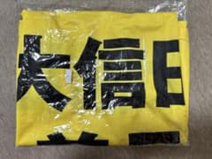 大信田美月　ビブス　Lのサムネイル