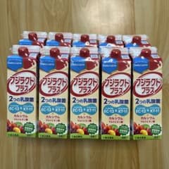 フジラクトプラス1000ml フジラクトプラス (2025) 1000mL