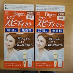Bigen　スピーディーカラー　２　より明るいライトブラウンのサムネイル