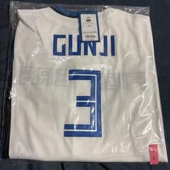 新品未開封】北海道日本ハムファイターズ 郡司裕也 ホームレプリ