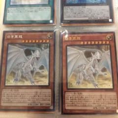 白き霊龍「メロンパンさん専用」のサムネイル