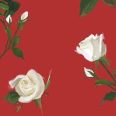 Titivate 黒 秋 シャツ フリーサイズのサムネイル