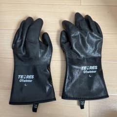 テムレス　01winterのサムネイル