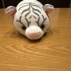 ホワイトタイガーのサムネイル