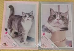 もちまる ダイソー A4フォトフレームセットのサムネイル