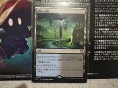 Thumbnail of MTG 闇滑りの岸 Darkslick Shores