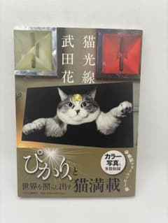 猫光線 武田花のサムネイル