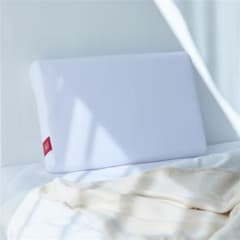 スタンフォード式最高の睡眠から生まれた脳眠枕ブレインスリープピローおまけ付のサムネイル