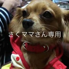 専用です！のサムネイル