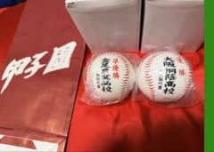 甲子園第100回記念ボール 大阪桐蔭 優勝 金足農業 準優勝 2個セット
