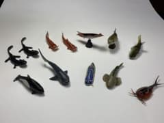 海洋堂　海系　動物フィギュアのサムネイル