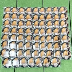 BLEACH 黒崎一護 スタジオぴえろ 缶バッジ 70点 - メルカリ