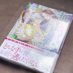 どうせ捨てられるのなら、最後に好きにさせていただきます 2 ZERO-SUMコ… Amazon.co.jp: どうせ捨てられるのなら、最後に好きにさせていただき