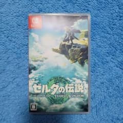 젤다의 전설 티어스 오브 더 킹덤 Switch 티아킨