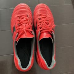 モナルシーダネオ　25cmのサムネイル