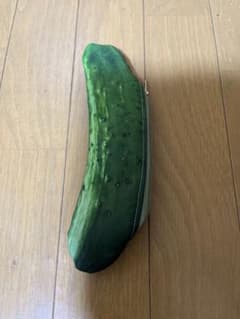 きゅうりお野菜ポーチのサムネイル