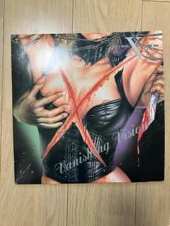 [희귀]X JAPAN)/ VANISHING VISION 레코드 LP반