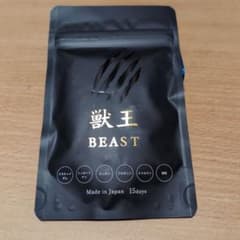 獣王ＢＥＡＳＴ②のサムネイル