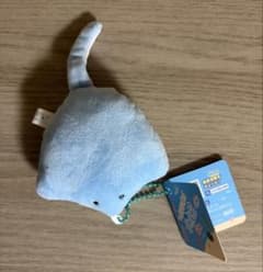 つぶらな水族館 エイのぬいぐるみのサムネイル