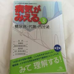 病気がみえる 糖尿病 内分泌のサムネイル