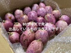 nana様　専用　本日発送◎ まとめ売り あけび　ムベ　2.7kgのサムネイル
