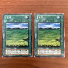 初期】遊戯王 草原 2枚セット - メルカリ