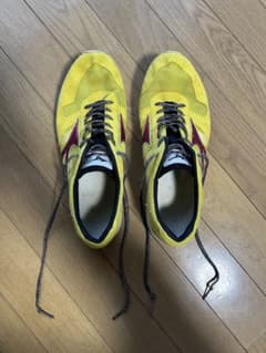Mizuno ウェーブクルーズジャパン　26.5のサムネイル