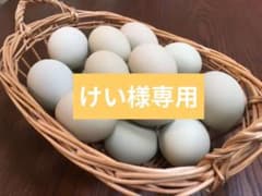 けい様専用　青いたまご　アローカナ平飼いたまご 48個のサムネイル